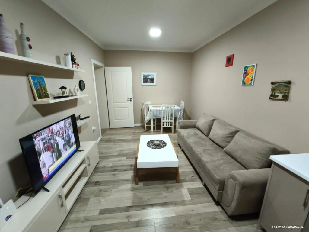 Apartment For Rent 1+1 At Durres Street (ID B211479) Tirana