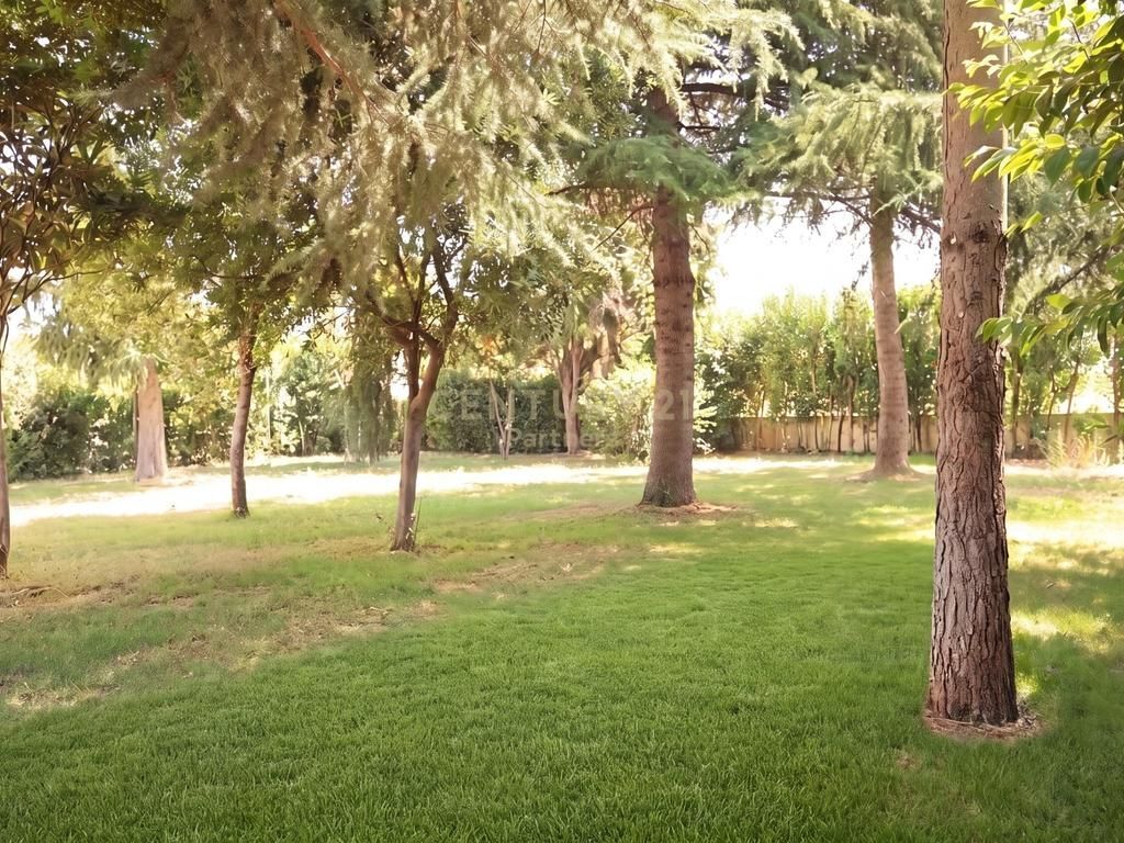 CAPANNONE IN VENDITA SULLA STRADA – OPPORTUNITÀ IDEALE PER OGNI TIPO DI ATTIVITÀ‼️ 850.000 €