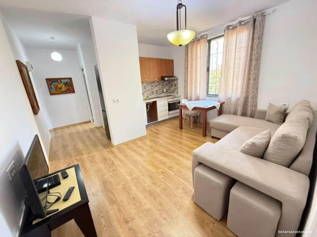 Apartament Me Qera 1+1 ne Qender (ID B211482) Tirane
