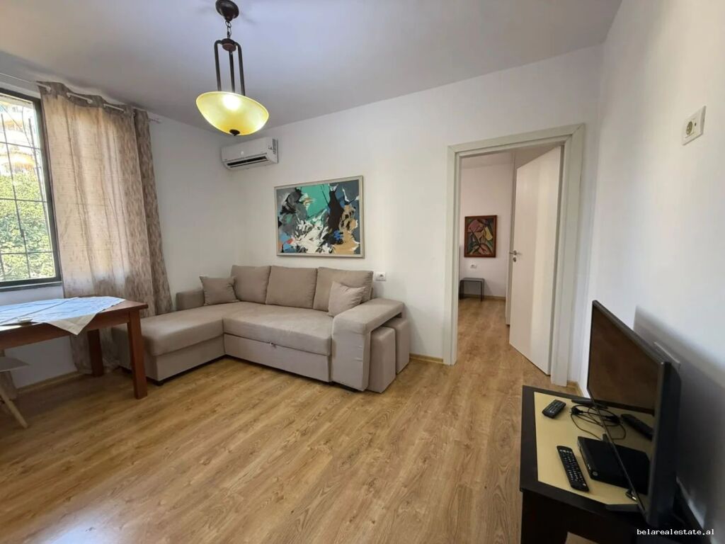 Apartament Me Qera 1+1 ne Qender (ID B211482) Tirane