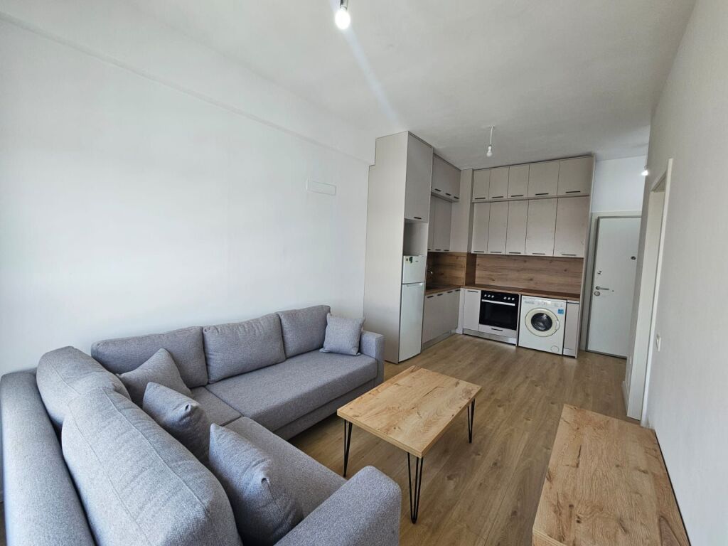 Apartment 1+1 for rent in Ali Dem!