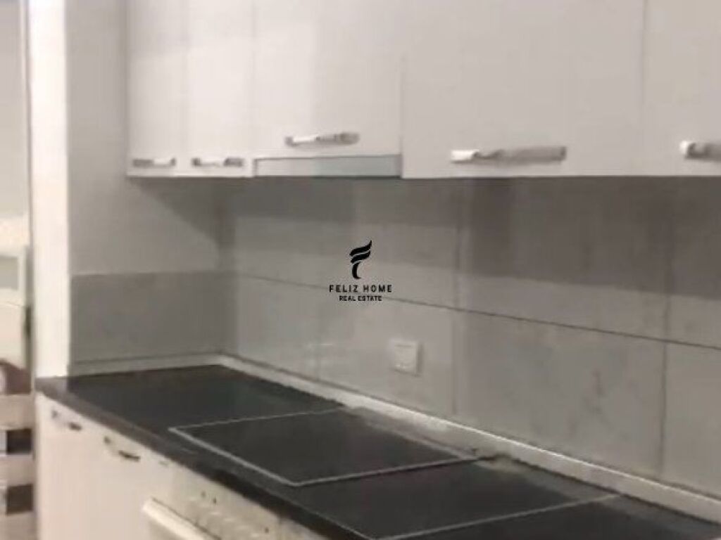 APARTMENT FOR RENT 1+1 ZOOLOGICAL GARDEN 45,000 LEKE FH-87898