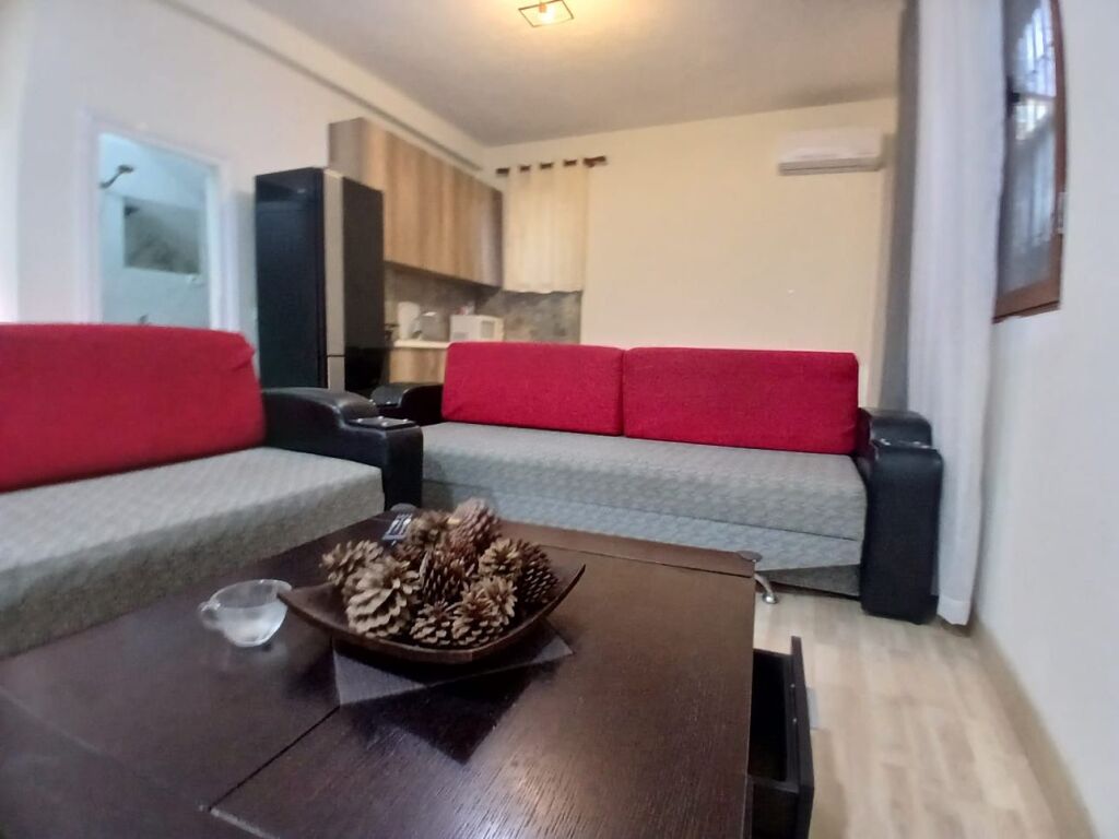 For rent Selite 1+1 Marin Barleti !