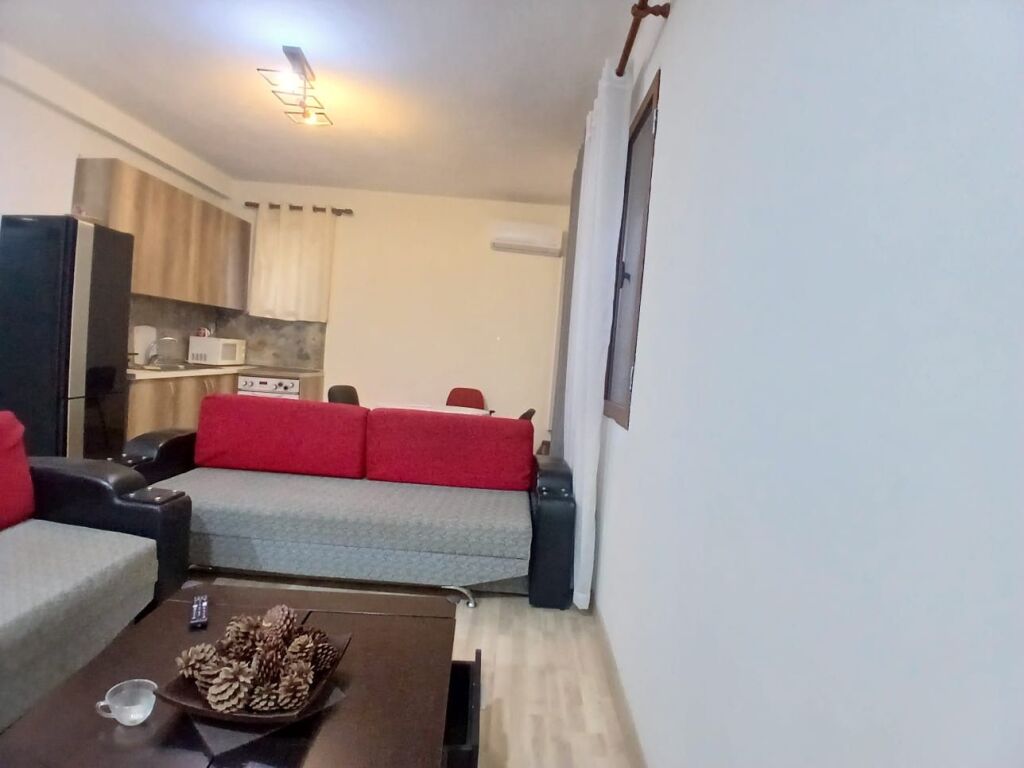 For rent Selite 1+1 Marin Barleti !