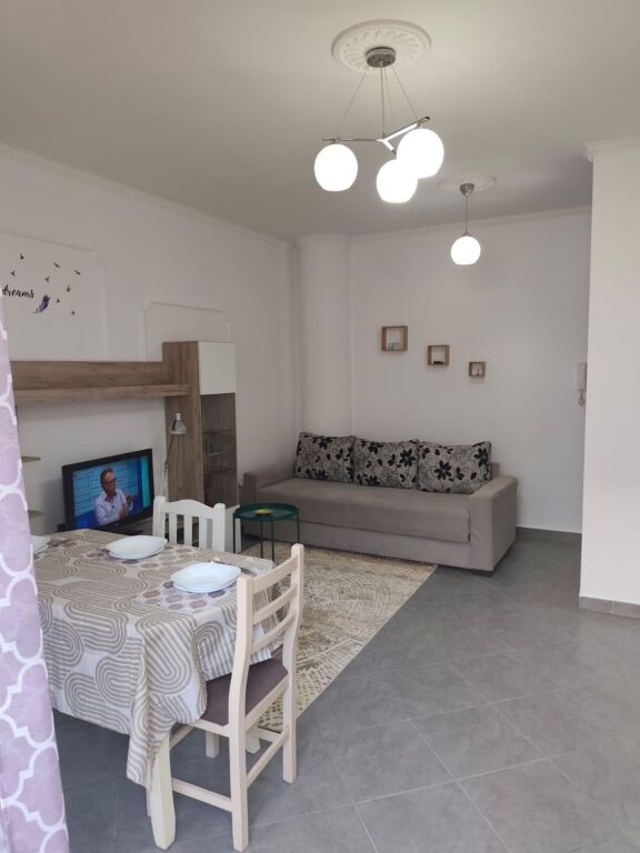 Contact Complex 21 December Apartment 1+1 for Rent