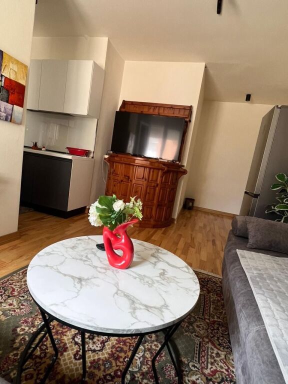 2+1, con parcheggio, giardino botanico, 1000 euro
