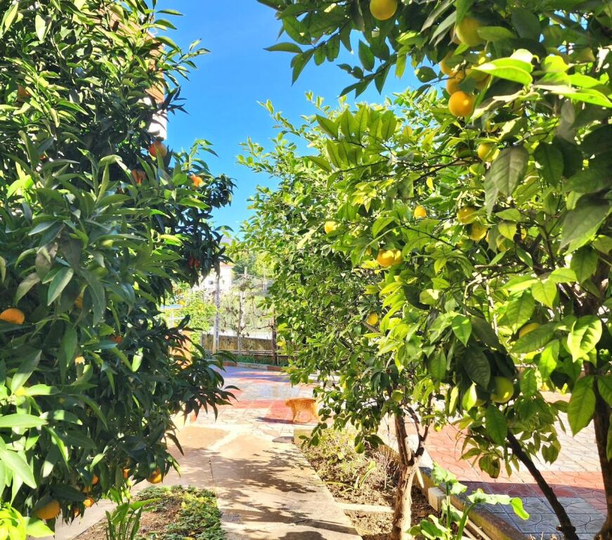 Me Qera: Shtëpi Private 70m2 + Tokë 150m2 📍 Mullet -TEG ✨ 40,000 Leke/Muaj | 2 vende parkimi 🔑