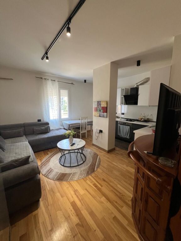 APARTMENT 2+1+2+PARKING SPACE FOR RENT NEAR THE ARTIFICIAL LAKE, PAVAROTI