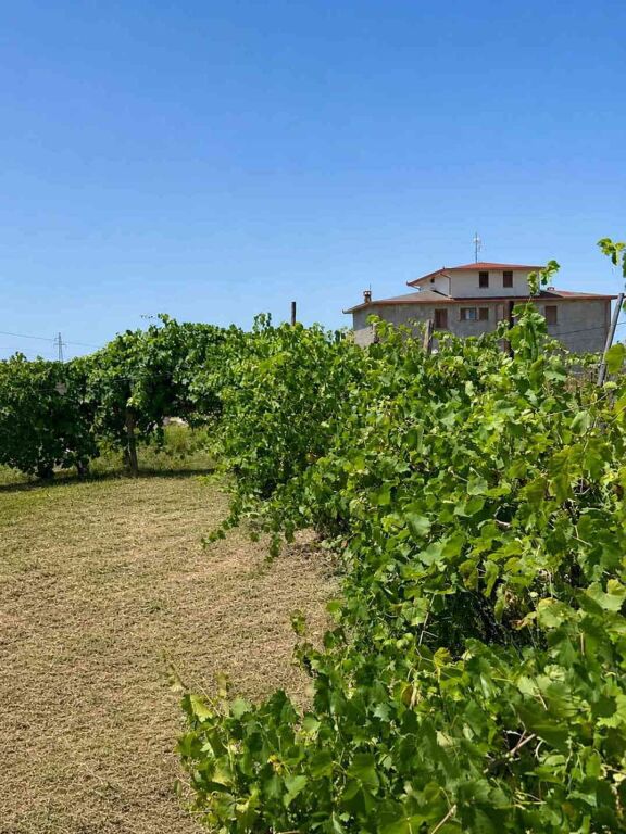Shtëpi për rikonstruktim në zonën e Kavajes, Durres