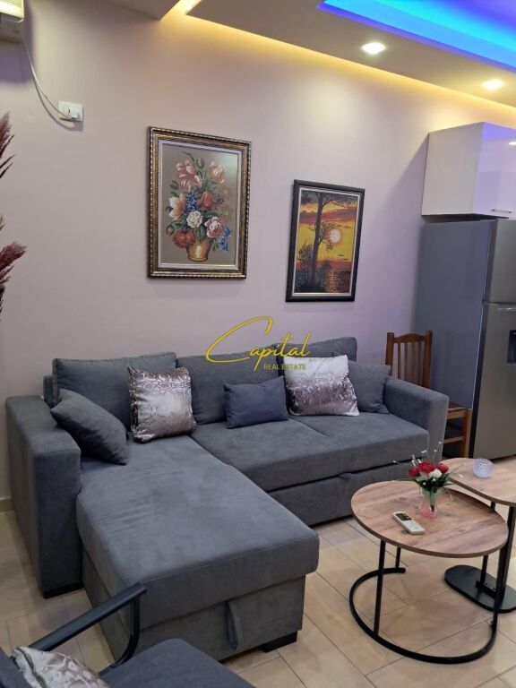 APARTMENT FOR RENT 1+1 KODRA E DIELLIT 500 EURO