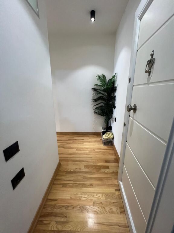 APARTMENT 2+1+2+PARKING SPACE FOR RENT NEAR THE ARTIFICIAL LAKE, PAVAROTI