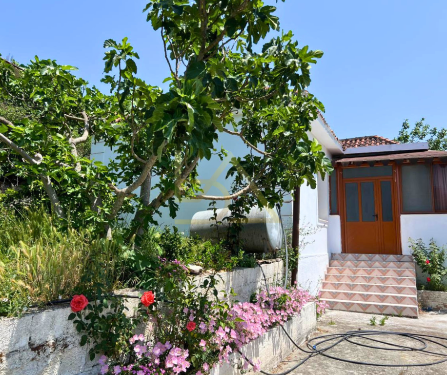 Shtëpi 3+1 për Shitje – Kotë, Vlorë