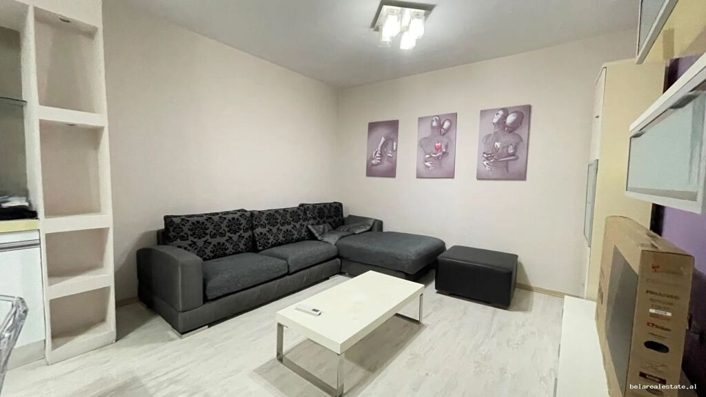 Appartamento In Affitto 1+1 Vicino Brryli (ID B2101874) Tirana