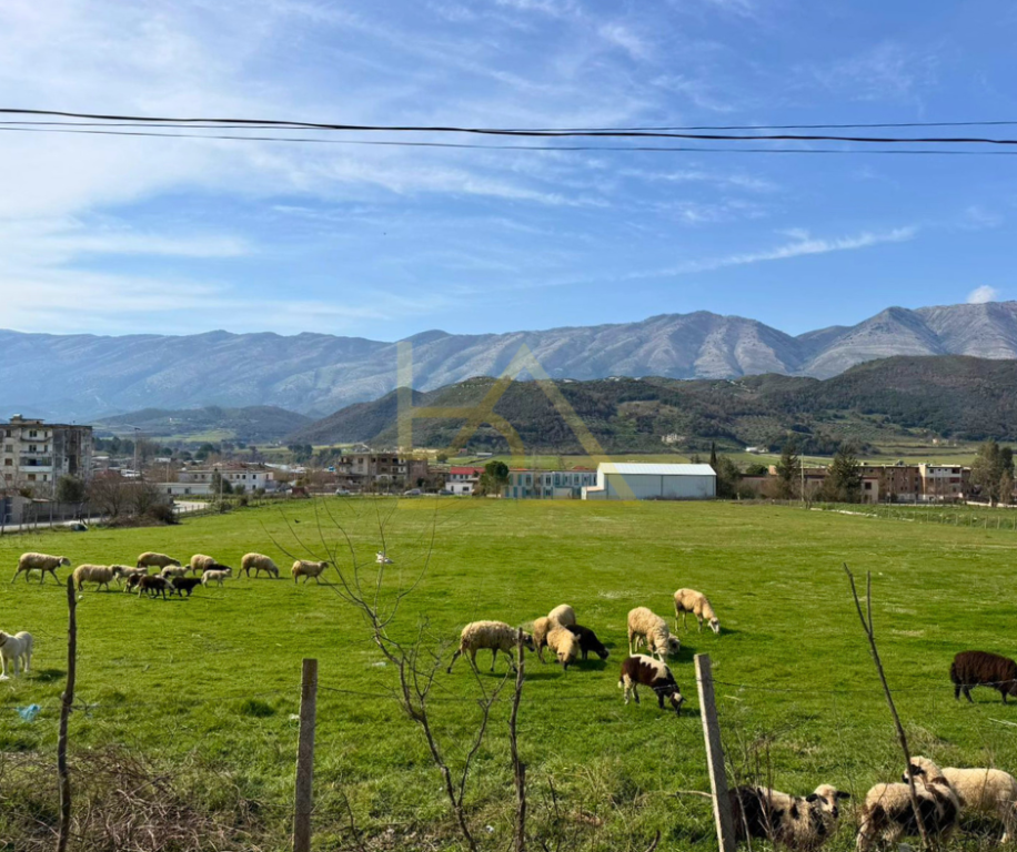 Shtëpi me Truall për Shitje – Kotë, Vlorë