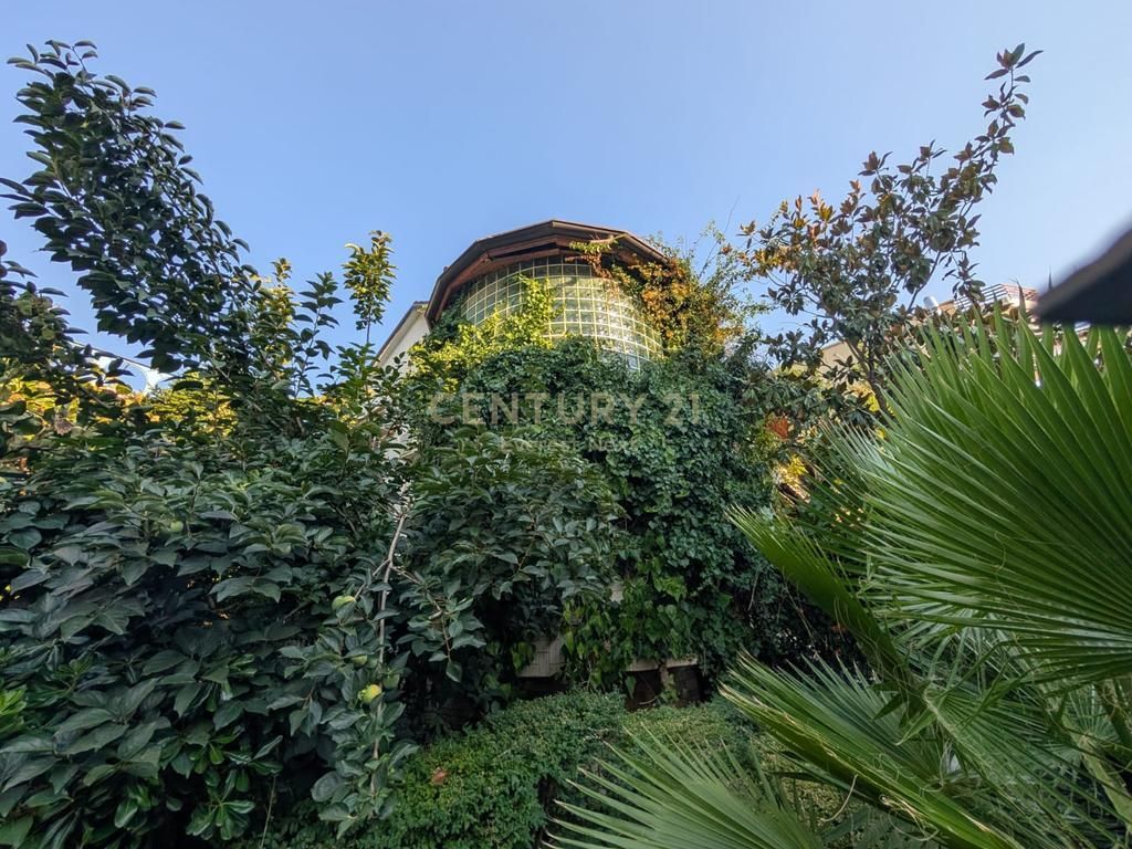 ]VILLA FOR RENT IN FRESK!!