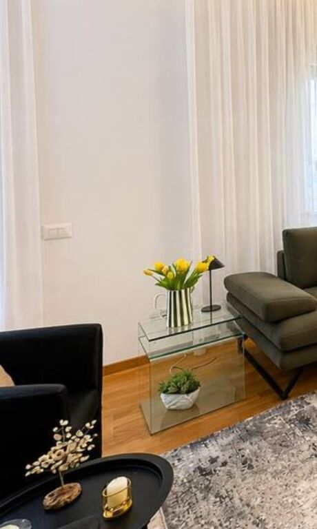 Luxury 2+1 apartment for rent