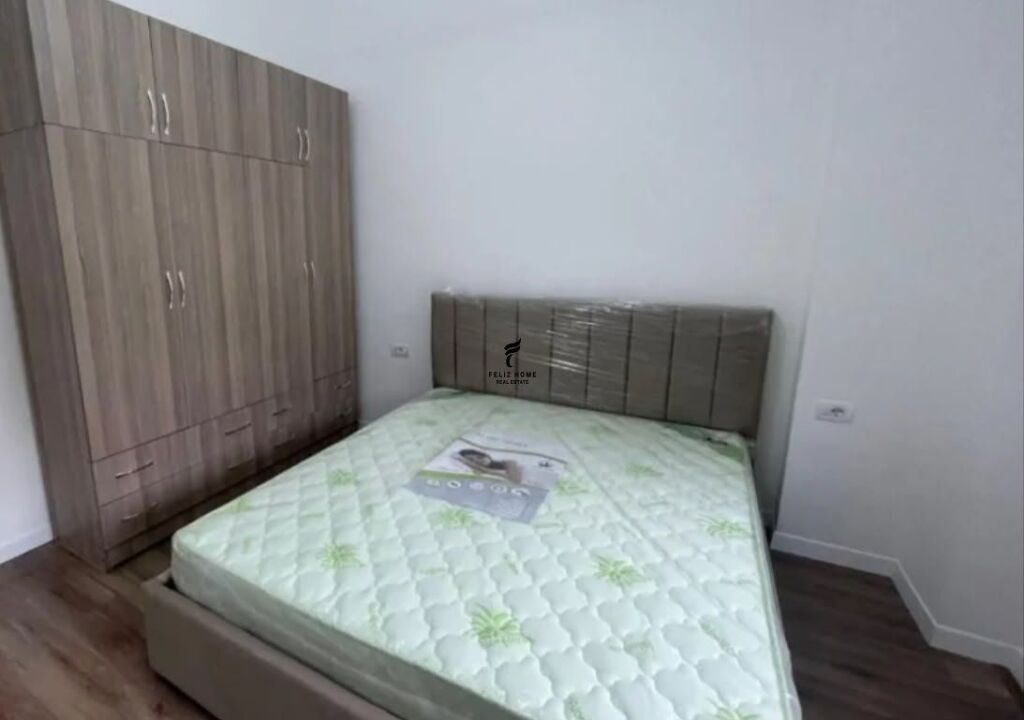 APARTMENT FOR RENT 2+1 FROSINA PLAKU 70,000 LEKE FH-88704