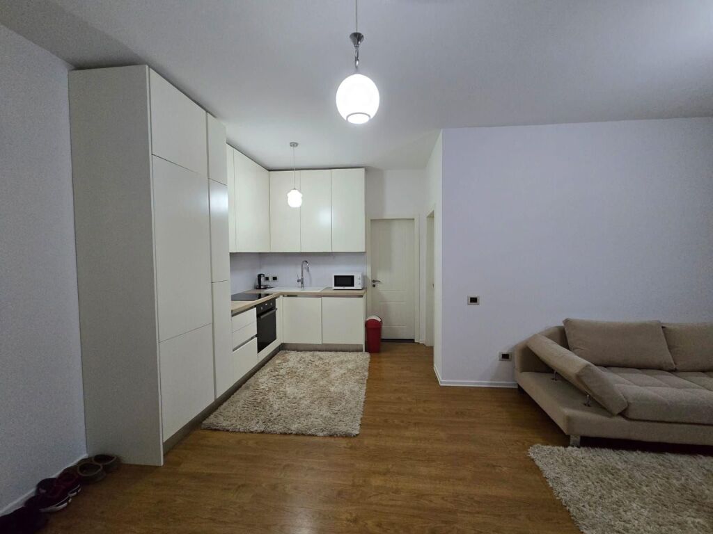 APARTMENT FOR RENT 1+1, DRY LAKE