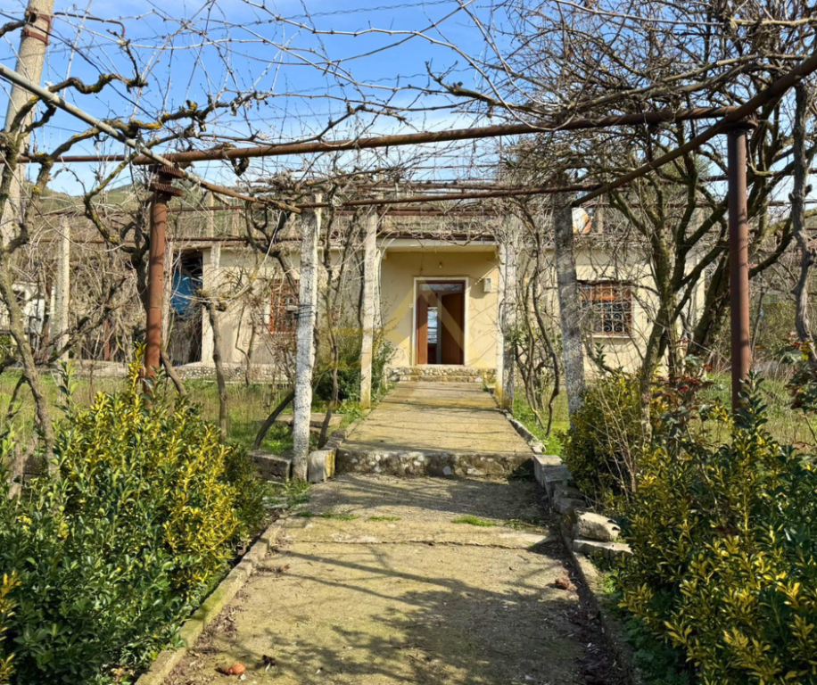 Shtëpi me Truall për Shitje – Kotë, Vlorë