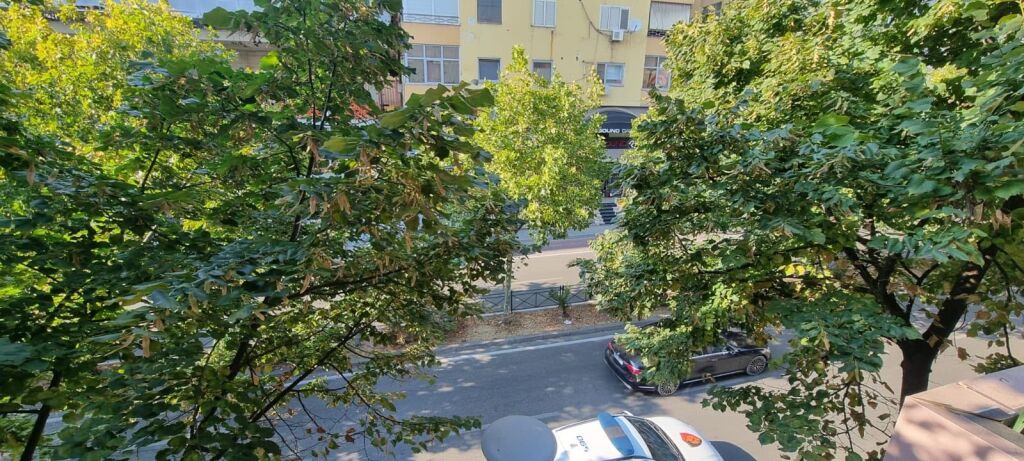 Apartment 2+1 for rent