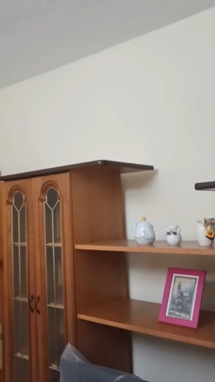 FOR RENT APARTMENT 2+1 – PAZARI I RI
