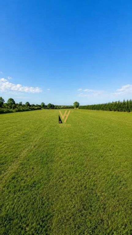 SHITET TOKE ARE 5.300 M2 PERBALLE PALMANOVA 636.000 EURO