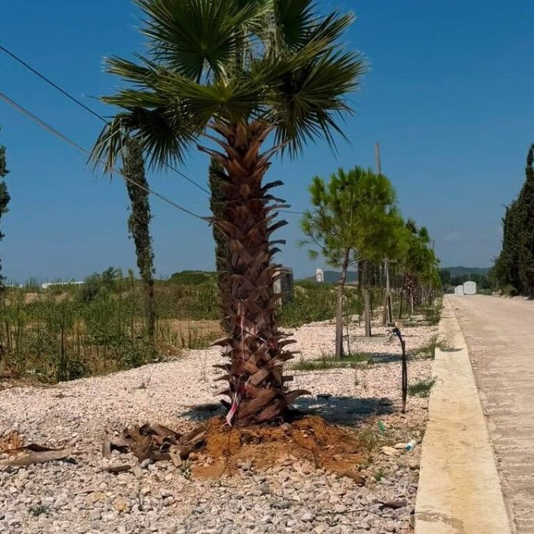🏡 SHITET DUPLEX 2+1 + 2 TUALETE | TURQUOISE MARINA – GJIRI I LALZIT ✨