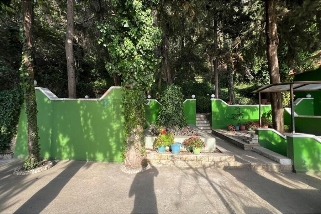 🍽️ BAR-RESTORANT ME QIRA – UJË I FTOHTË, VLORË