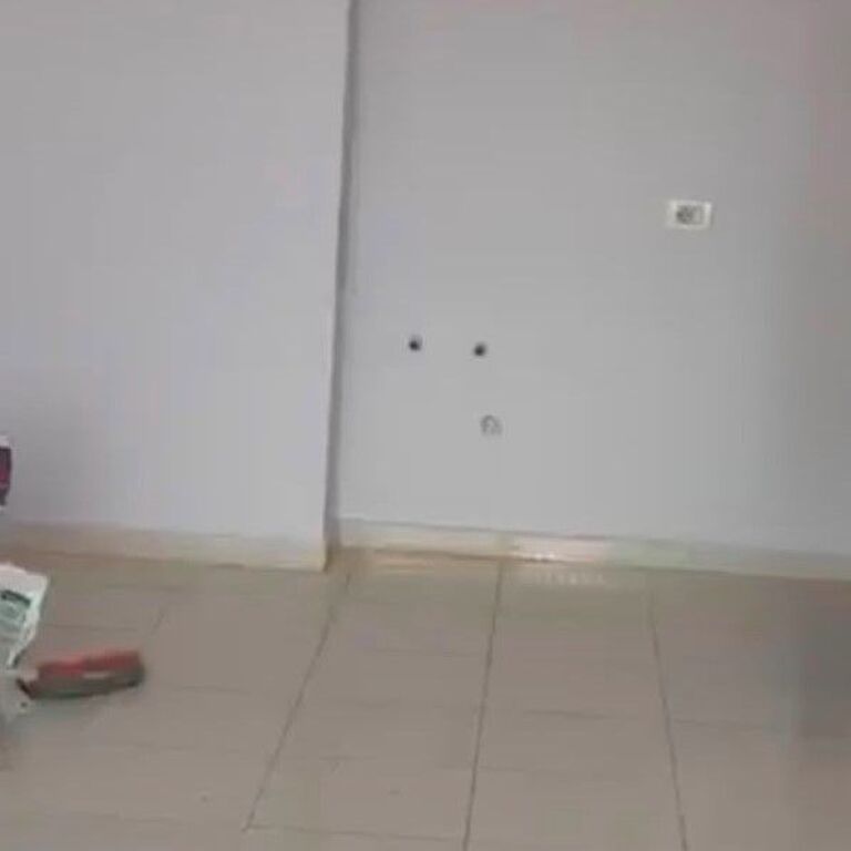 🏡 SHITET APARTAMENT 1+1 | PALLATET ÇABEJ – MISTO MAME ✨