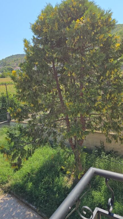 VILLA  200 thousand euros