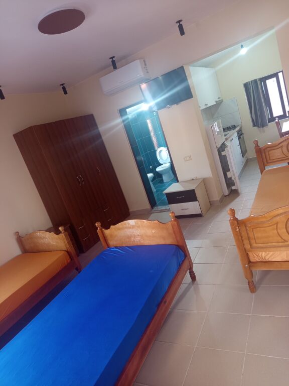 Studio apartment 33000 leke. Faculty of Economics