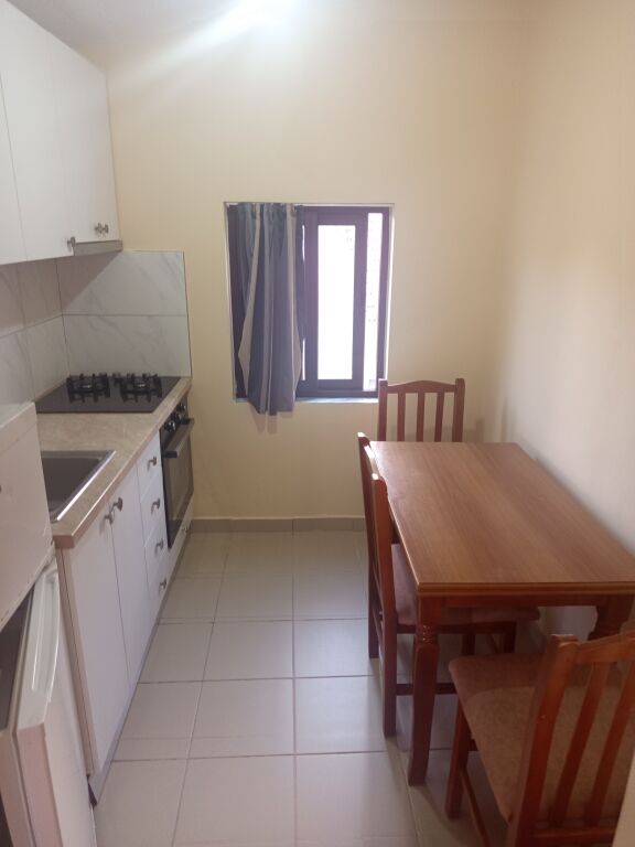 Studio apartment 33000 leke. Faculty of Economics