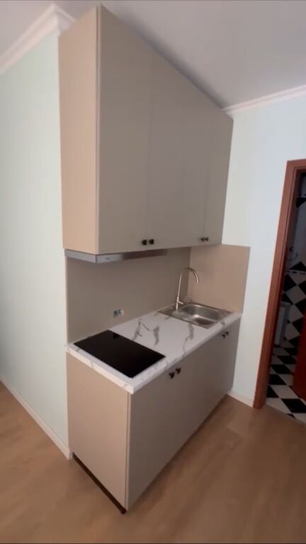 APARTMENT FOR RENT 1+1