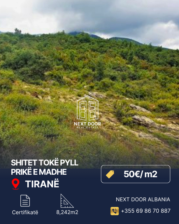 SHITET TOKË PYLL-PRISKË E MADHE ,TIRANË
