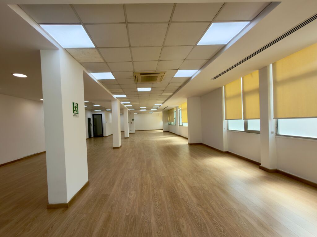 Office/clinic/business space for rent Office/business space approx 317 m2