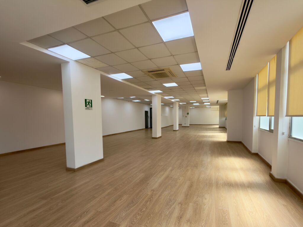 Office/clinic/business space for rent Office/business space approx 317 m2