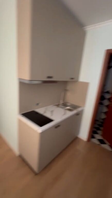 APARTMENT FOR RENT 1+1
