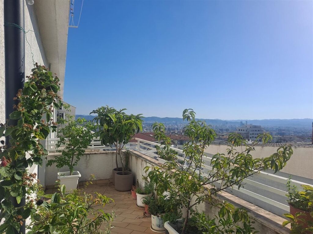 Rent | Ambjent Biznesi | Fresku | 2500 €/month