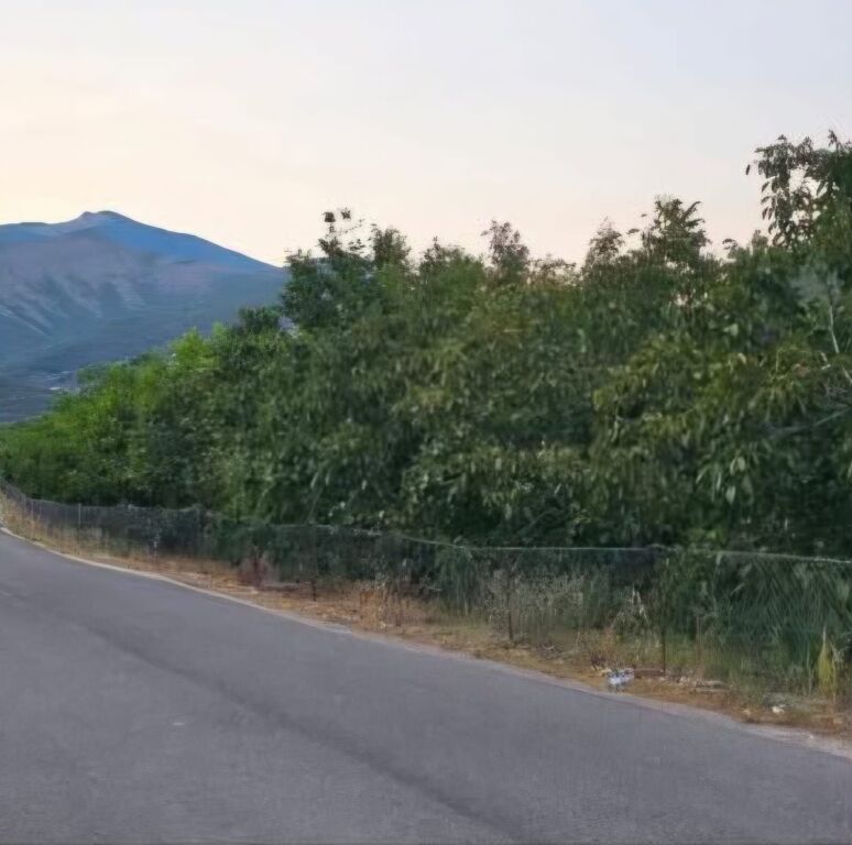 Shitet toke are prane Llixhave Termale te Benjes , Permet .