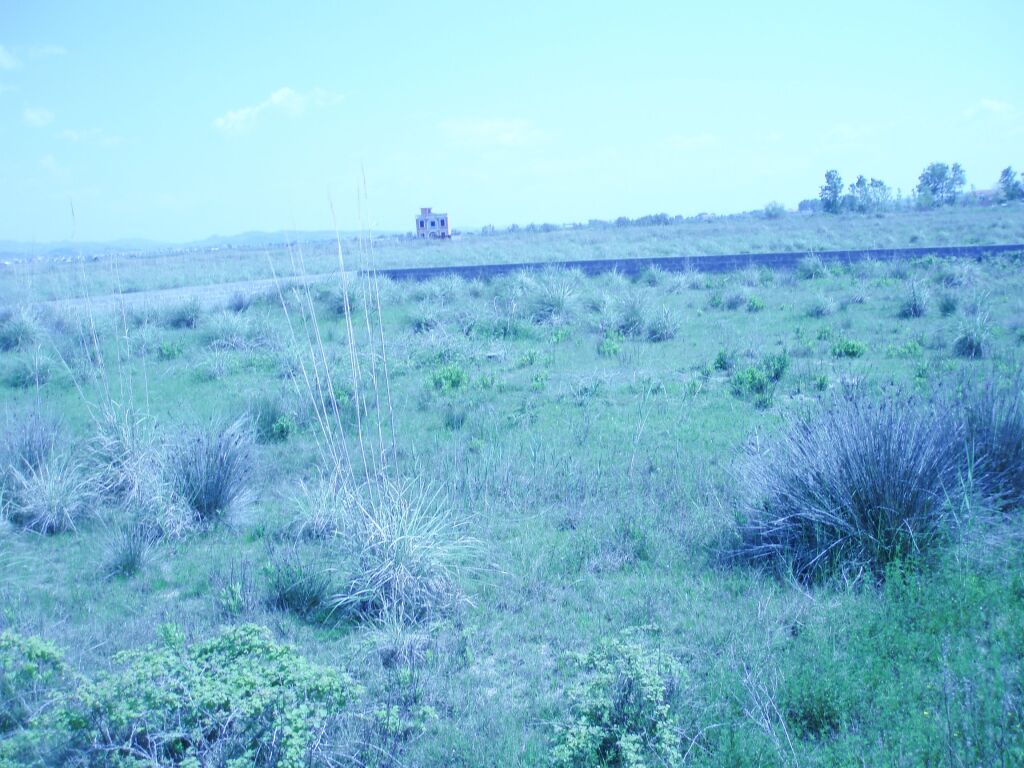 Shitet tokë 2,000 m² në Karpen, Kavajë