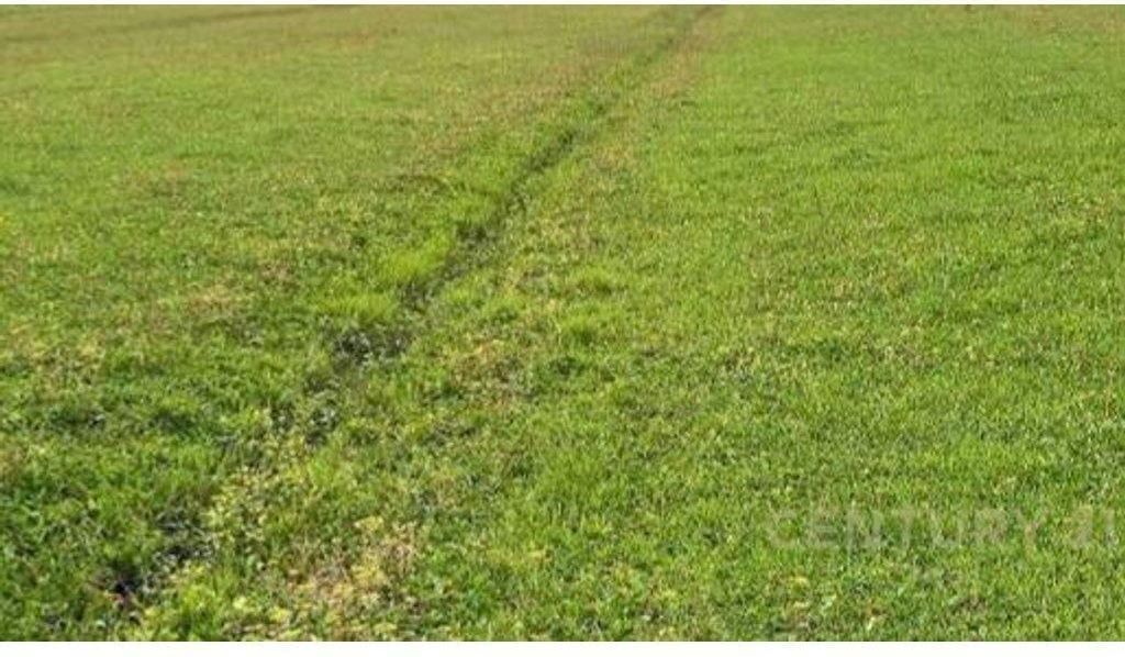 Tokë për Shitje në Prush – 7,000 m², E pershtatshme per agroturizem