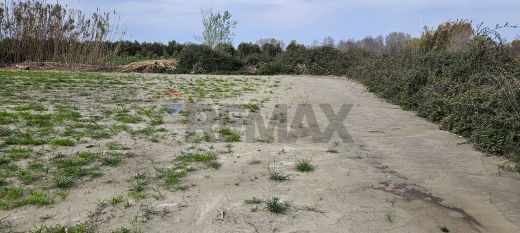 🌿 TOKË ARË PËR SHITJE – NOVOSELË, VLORË 📍