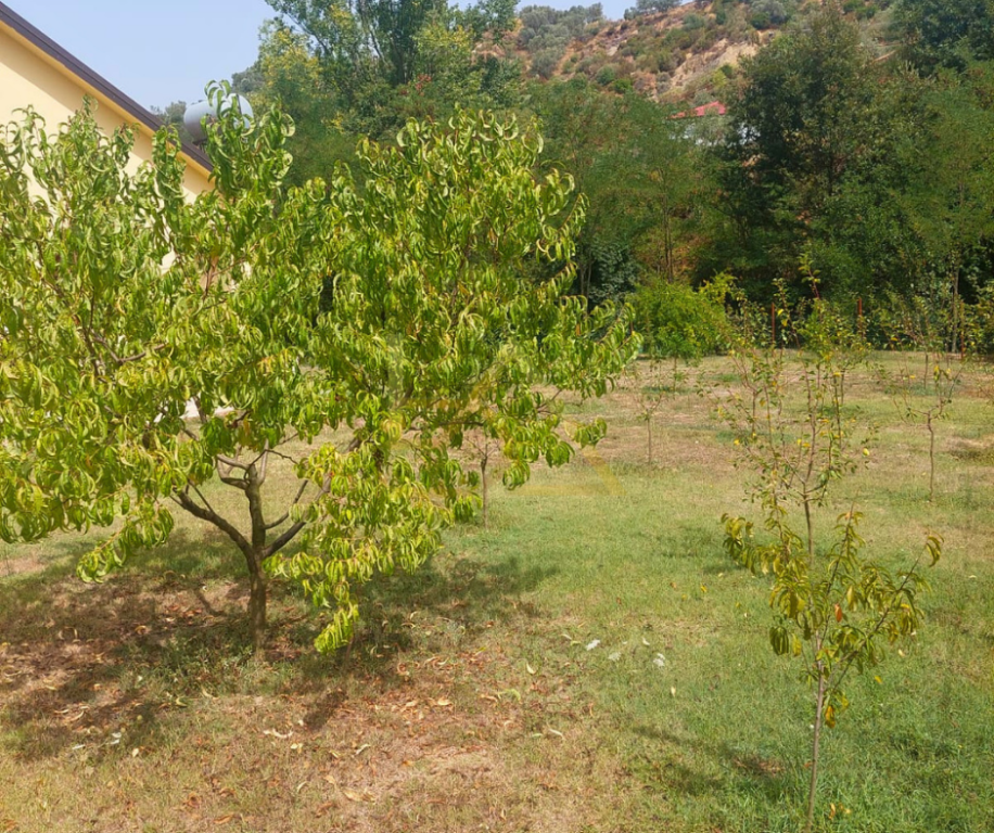 VENDESI PRIVATA IN VENDITA – VORË, MARIKAJ