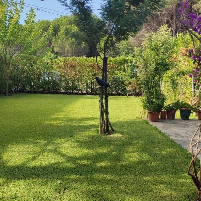🏡 SHITET APARTAMENT 2+1 | LURA 3, GJIRI I LALZIT 🌊✨