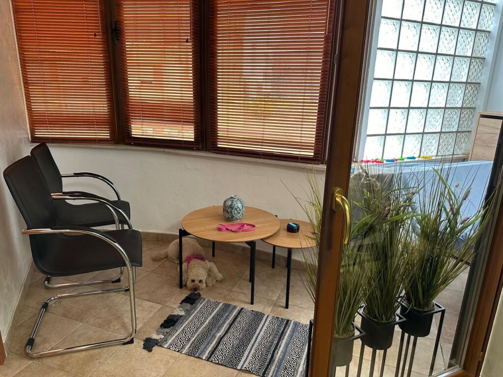 Appartamento in Affitto 2+1, centro 9-piani