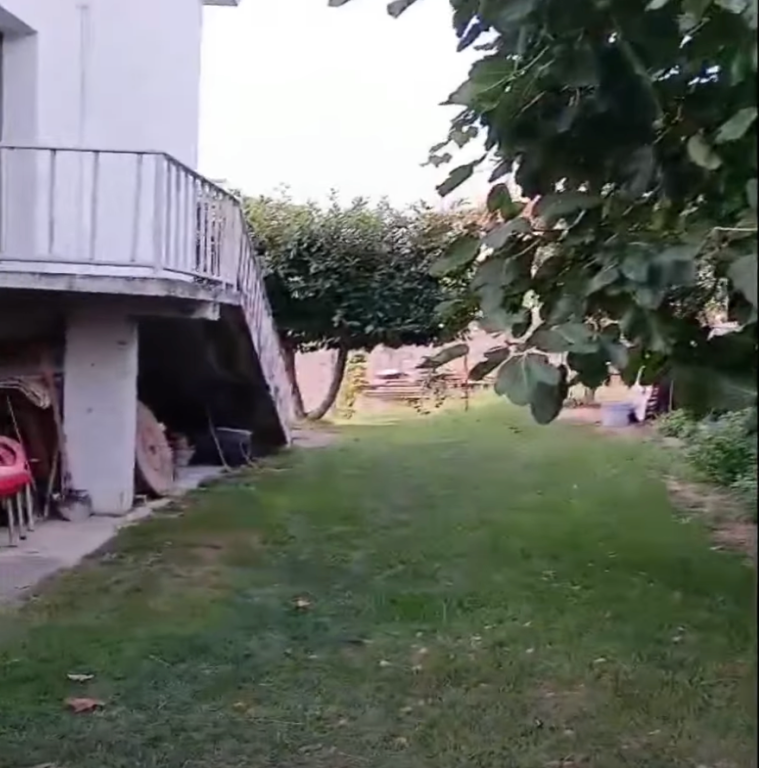 In affitto: casa privata con un grande giardino adatto agli animali domestici.