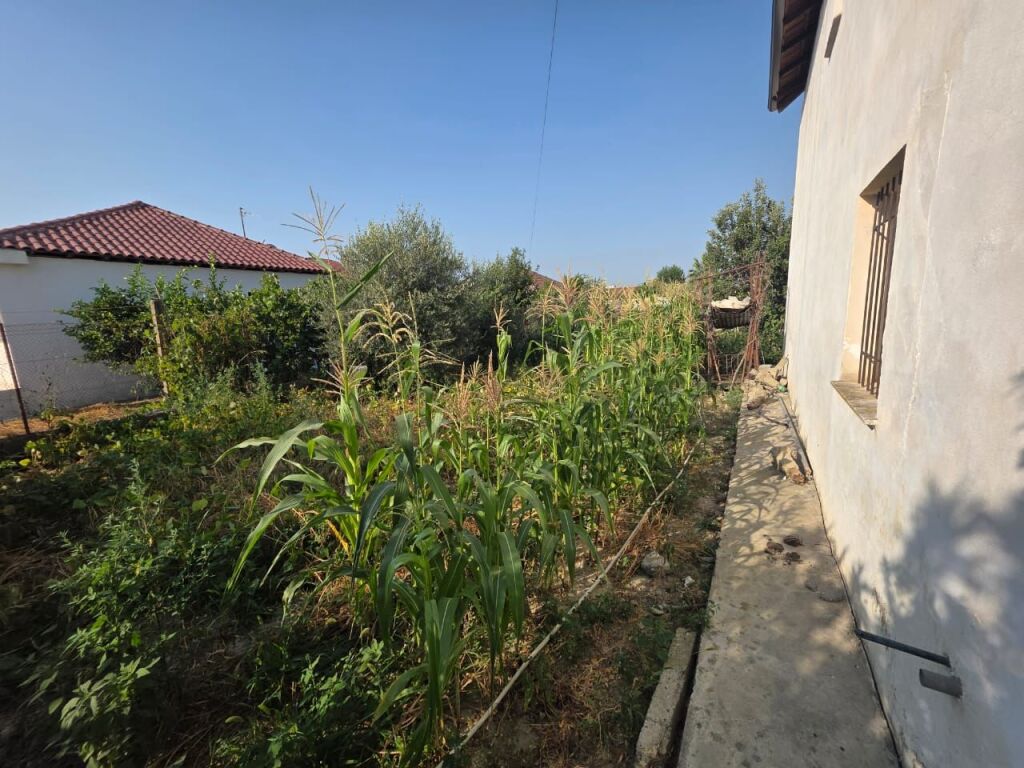Private House for Sale in Rrushkull