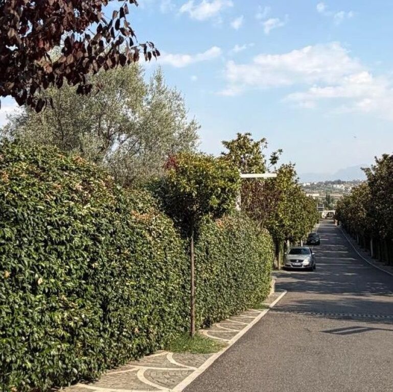 🏡 JEPET ME QIRA VILË – LONG HILL, TEG ✨