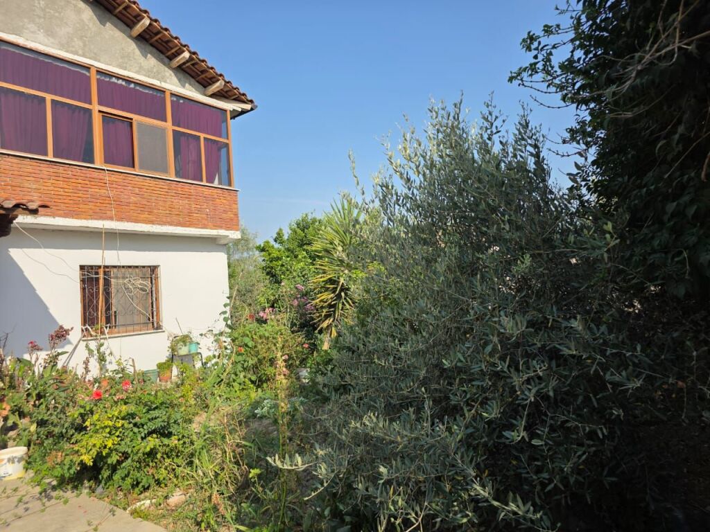 Private House for Sale in Rrushkull