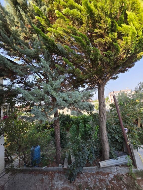 Private House for Sale in Rrushkull